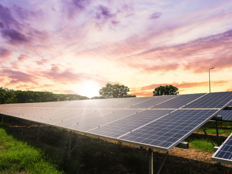 Harnessing the Sun: The Rise of Commercial Solar PV Systems